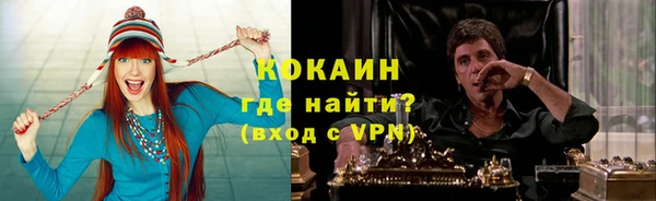 индика Богданович