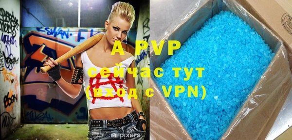 индика Богданович