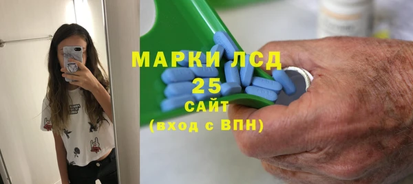 индика Богданович