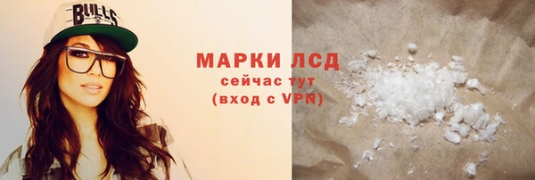 индика Богданович