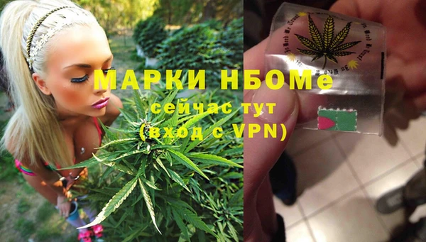 индика Богданович