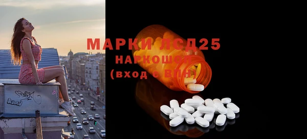 индика Богданович