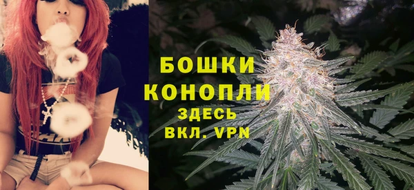 индика Богданович